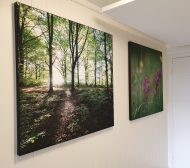 Akustikkdempende Bilde - Bilde 2