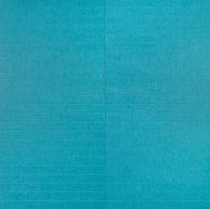 Ecousto Veggpanel Veya - Bilde 8